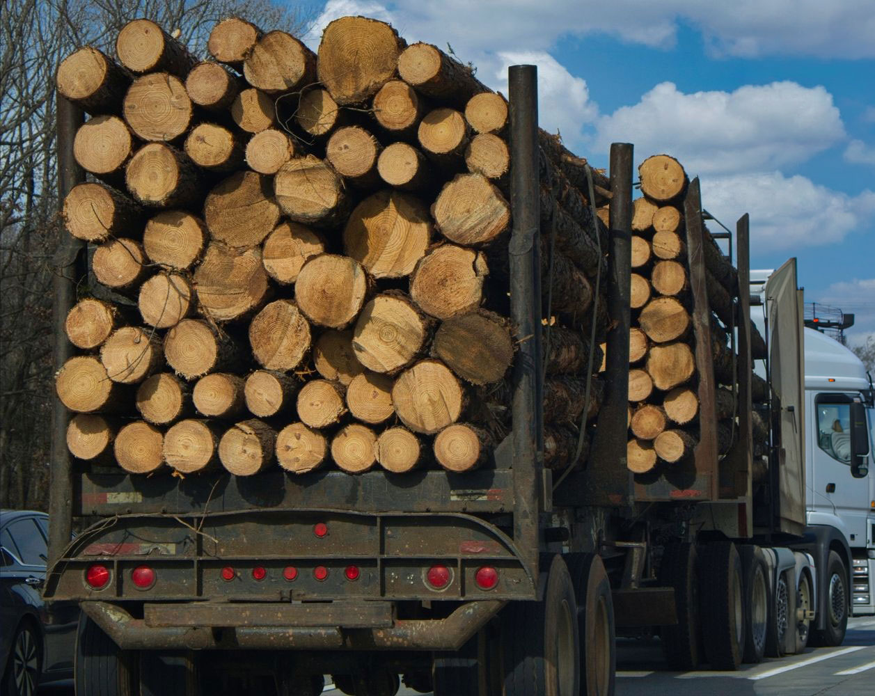 Forestry fleet - harvester and forwarder